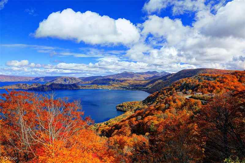 Tempat Wisata Aomori Jepang Budaya dan Kuliner